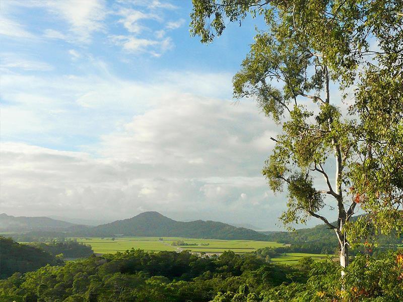 Mai Tai Resort Cassowary Exteriér fotografie