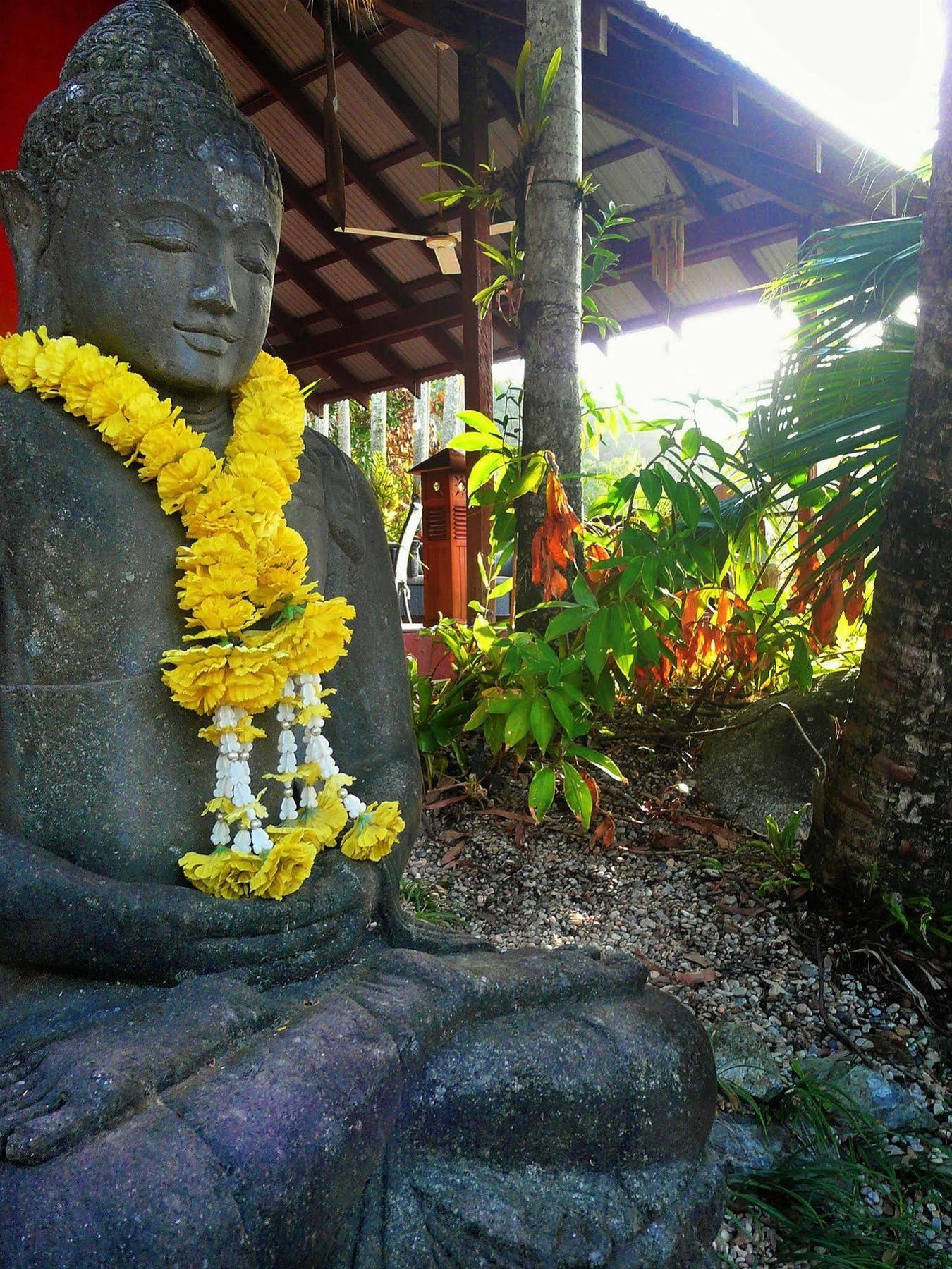 Mai Tai Resort Cassowary Exteriér fotografie